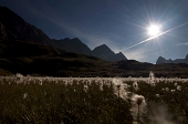 ASCENSIONE AL DIAVOLINO E AL DIAVOLO il 2 settembre 2010 - FOTOGALLERY